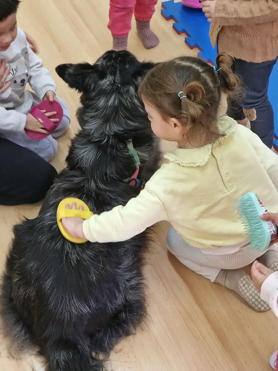 pet education - asilo nido arlecchino